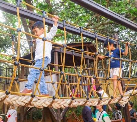 DSB Climbing frame adventure