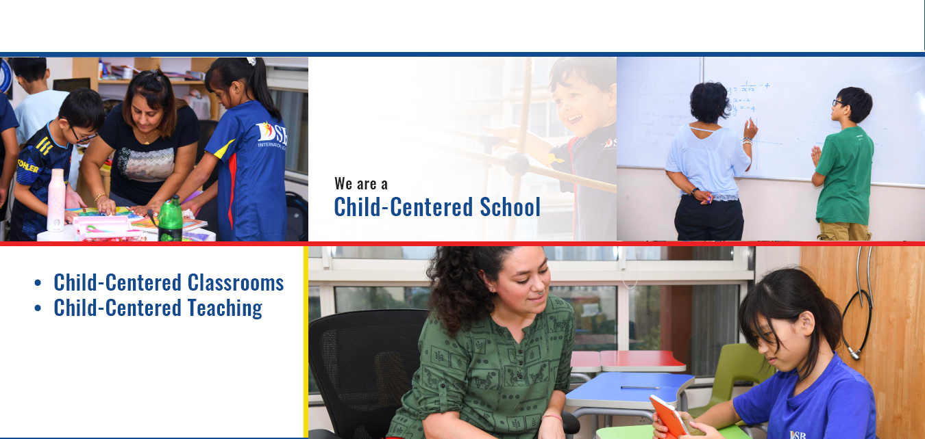 DSB international school